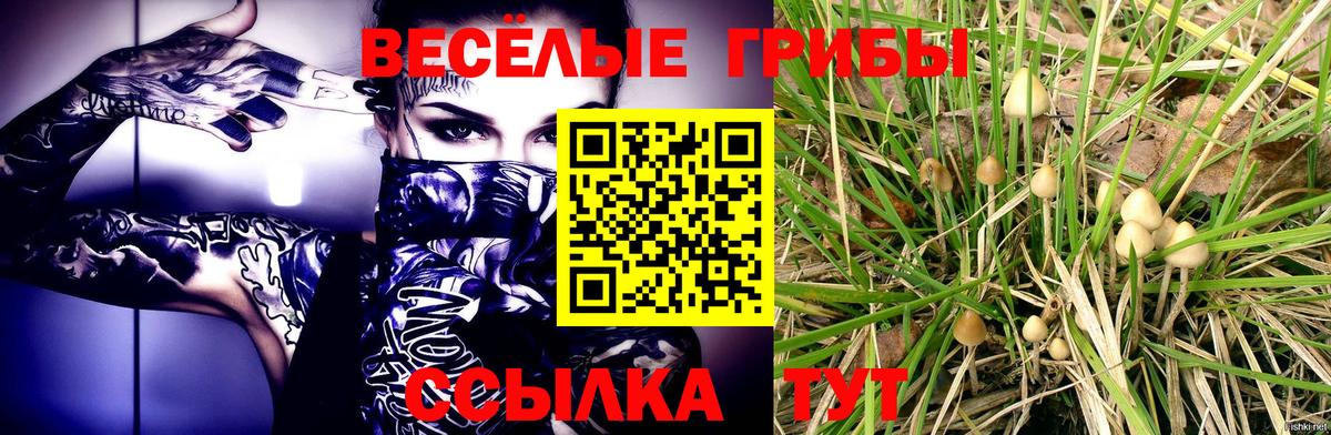 Рузаевка  Псилоцибиновые грибы мухоморы  Вход с VPN 